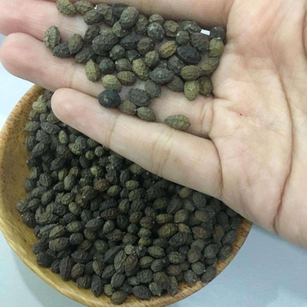 Семена Папайи Купить В Аптеке