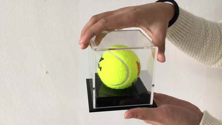 16 Supporti Espositori Per Palline In Acrilico Trasparente – Forma A Uovo, Per Baseball, Calcio E Collezioni