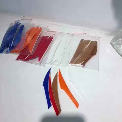 Plumes de flèche de dinde de 3 pouces, 50 pièces, bouclier