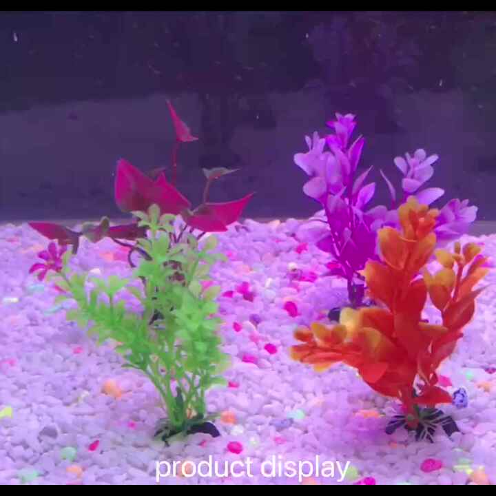 10pcs/pack Aquarium Accessories Artificial Seaweed Simulated Aquatic Plants Grass Aquarium Fish Tank Decorations 10pcs/pack Aquarium Accessories Artificial Seaweed Simulated Aquatic Plants Grass Aquarium Fish Tank Decorations