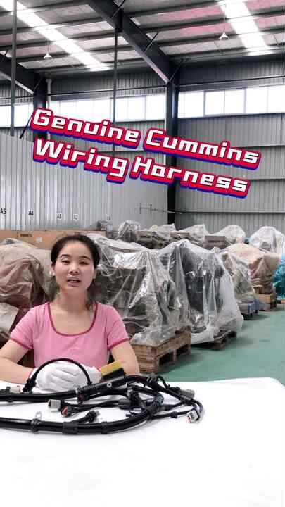 Cummins QSL9 QSC8.3 Diesel Engine Wiring Harness 4943176