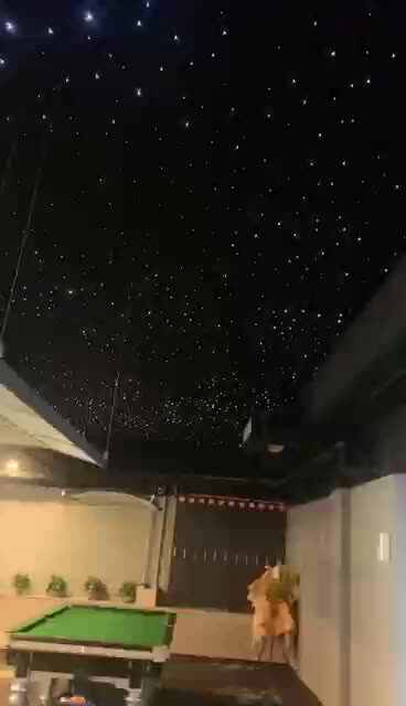 fM124L 光ファイバーライト ペンギン 照明 ティンクル スター Commercial Fiber Optic Lights | Outdoor LED Fiber Optic Lighting