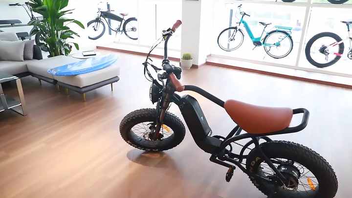 Wholesale Fat Tire 20 Inch Electric Bike Pedal Assist Trike