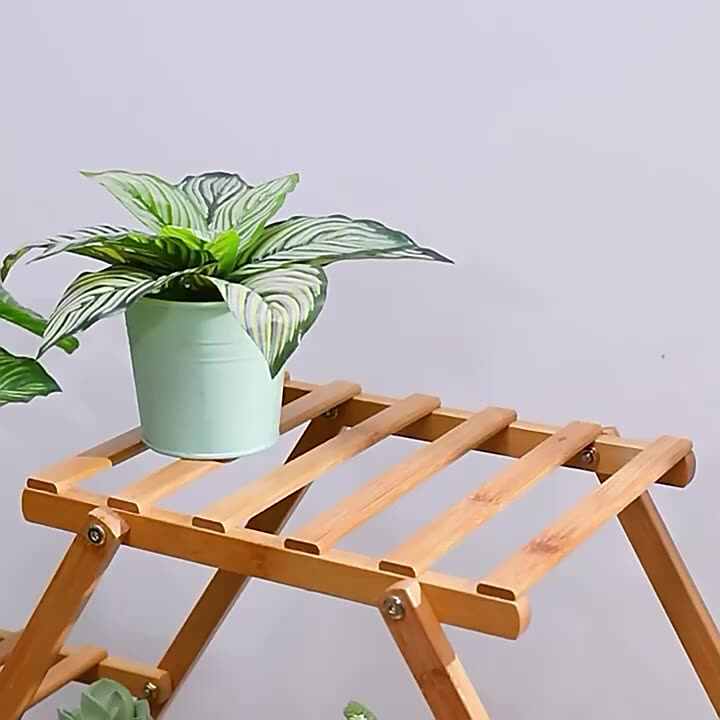 Glas vermehrung sset mit Bambus halter. Glas Reagenzglas Pflanze  Terrarium/Mini Vase Tpfe fr Hydro ponik Pflanzen fr Raum dekor|  Alibaba.com
