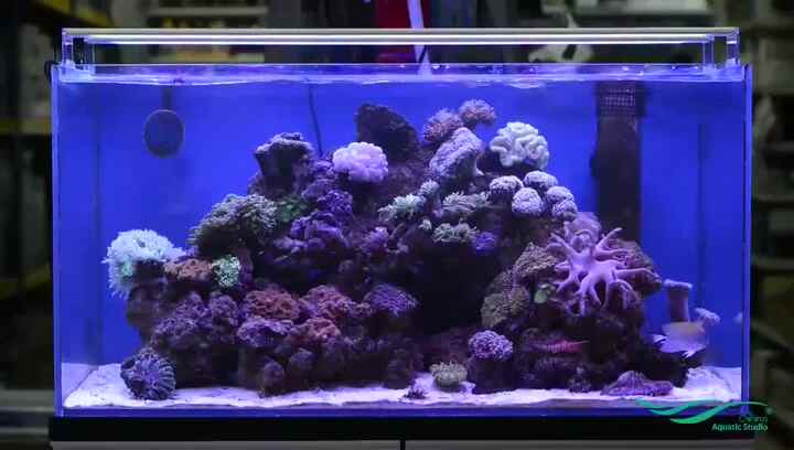 Led水族館ライト拡張可能なブラケット付き水槽照明白と青のフル