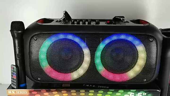 RX-6248 Dual 6.5-Inch Portable DJ Speaker with RGB Lights