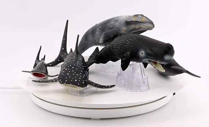 Wholesale Sea Lion Toys PVC Simulation Animal Figurines