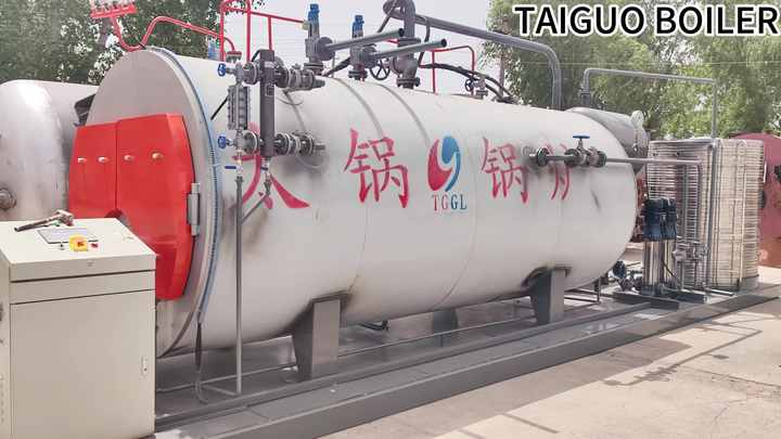 Directly Supply Boilers 150 psi Tons Natural Gas Fuel Steam