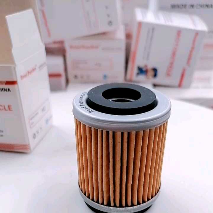 Road Passion Oil Filter Pack For Yamaha YFB250 Timberwolf 230 (1992-2000) - Pack Of 4 Filters - View #4