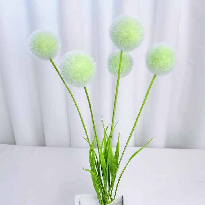 ebay saatgut BIO-Saatgut-Set "Gartengemse"