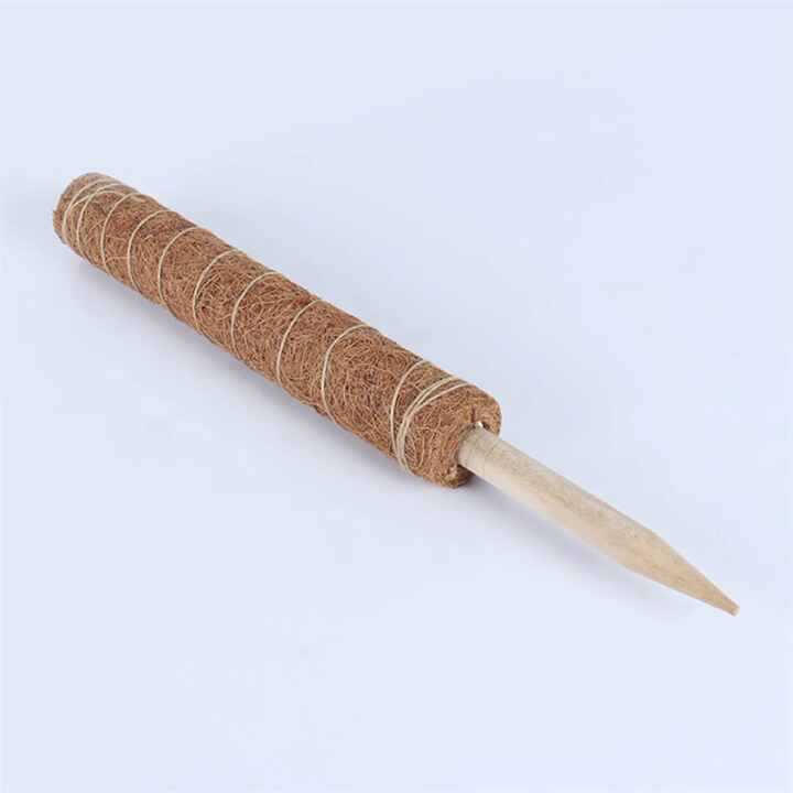 Moss Stick S02346: Bahçe Bitkileri için Doğal Koir Direkler