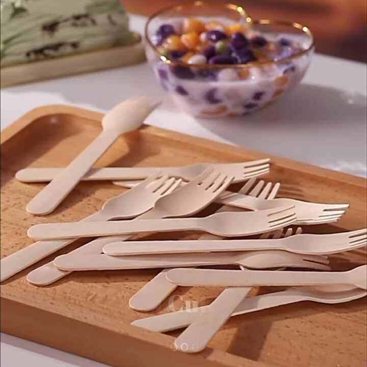 Couverts En Bois De Bouleau Jetables Et Compostables – 600 Pièces – Écologiques