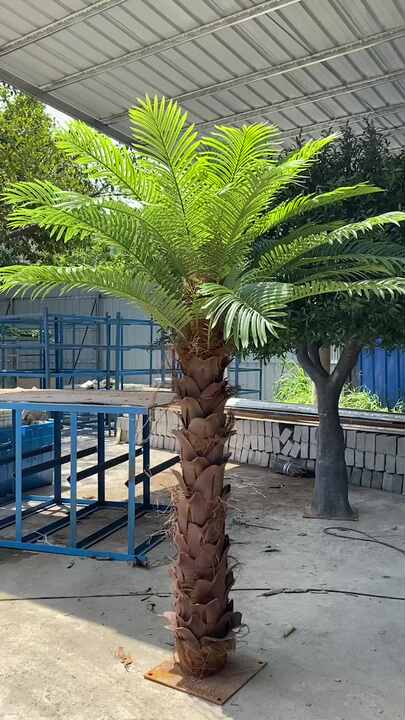 Coconut Tree Climber Price Bonsai Palm Tree Indoor Artificial Coconut Tree