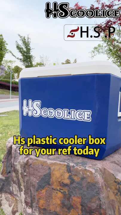hs plastic cooler 30l ice cooler with logo promotion keep item
