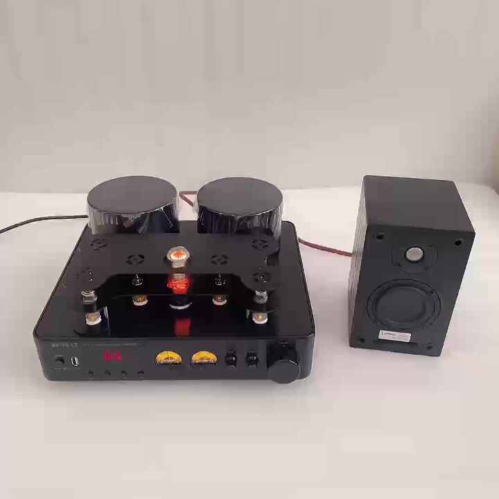 220V 200W*2 HiFi ワイヤレスブルートゥース真空管アンプ スピーカー