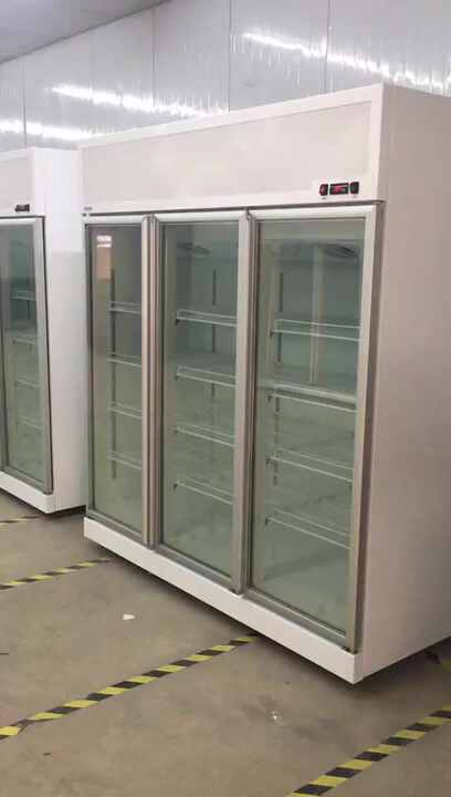 透明ガラス扉の業務用冷蔵庫 花冷蔵庫 220V-240Vの価格