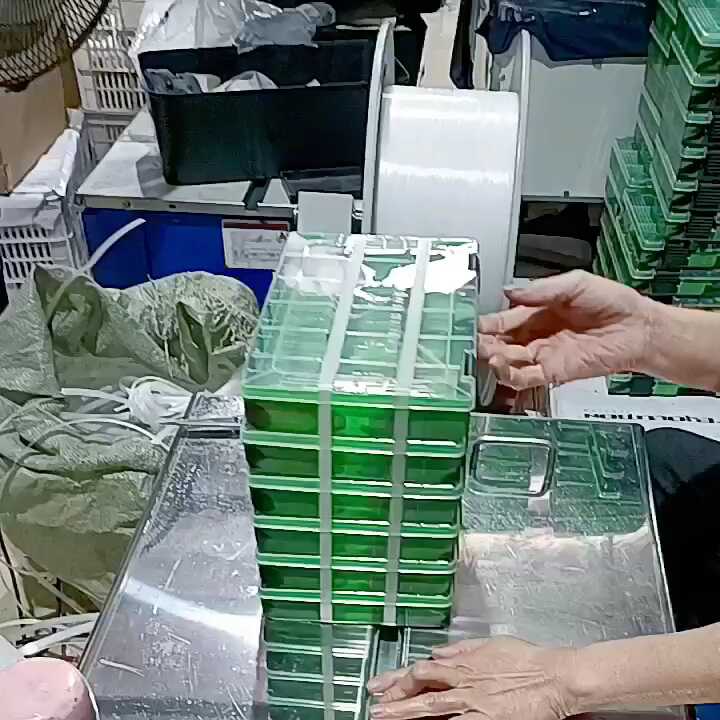 China BSCI Factory ALDI Supplier Fujian Quanzhou Jianhui clear Fishing Tackle BOX Bargain Sale Ready to Ship| Alibaba.com China BSCI Factory ALDI Supplier Fujian Quanzhou Jianhui clear Fishing Tackle BOX Bargain Sale Ready to Ship| Alibaba.com