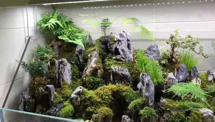 Seiryu Rock Stone Dragon Stone Aquarium Tank Decoration