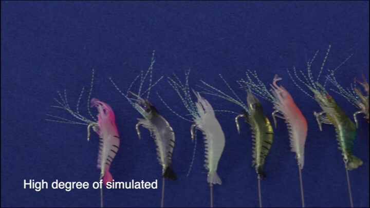 Lot de 10 appâts lumineux pour pêche à 5 crevettes Sabiki - Leurre de pêche en eau salée - Avec crochet - 4/10/20