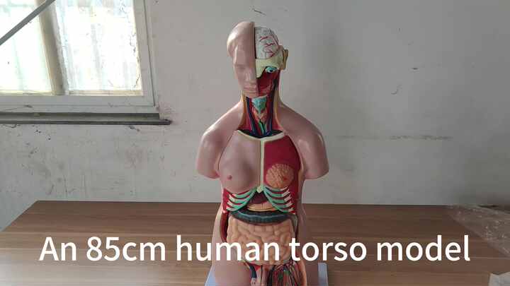 O1CN01gkdDZN1dKR7MG6DpK_!!