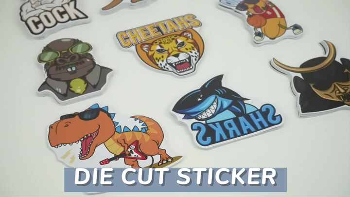 Custom Printing Die Cut Vinyl Stickers - Adhesive & Waterproof