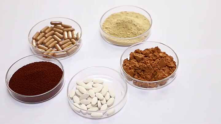 free sample high quality mushroom reishi powder health care