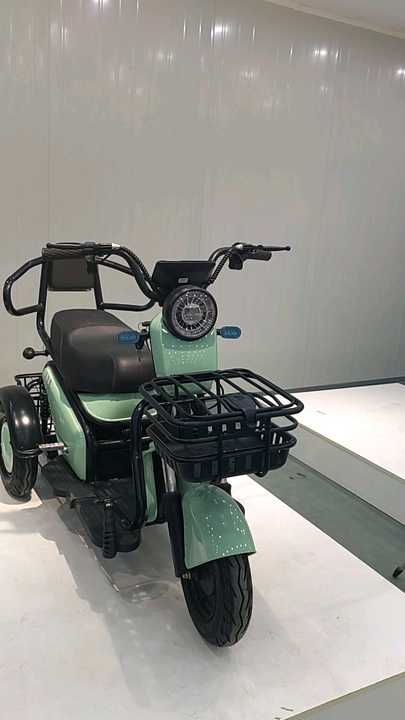 2人乗り3輪電気三輪車中国の貨物大人三輪車オープンボディと48V