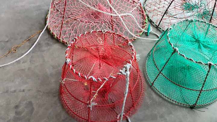 Per Pesci Trappola Per Crostacei Kayak Gabbia Trappola Per Catturare Granchi, Aragoste E Gamberetti - Perfetta Per Pesca In Mare, Molo O Kayak Black Cat Pesca Trappola Pesata