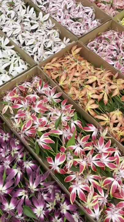 A-394 Artificial Flowers Lily Real Touch 3D Printing White Spider