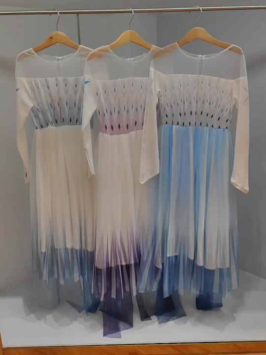 elsa and anna party dresses ELSA and ANNA FROZEN Birthday Party Tutu Dress