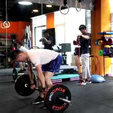 Anillos De Gimnasia Madera Fitbeast Olímpico Crossfit Grips