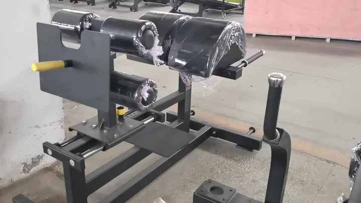 ジム機器GHDグルートハム開発レイズバックエクステンション