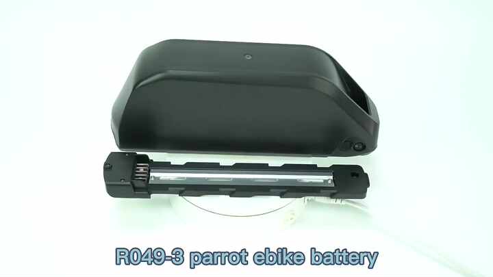 Jumbo Shark Polly 48v Lithium Ion Ebike Akku 48V20Ah Electric Bike