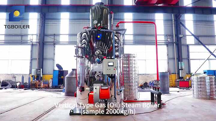 Europe Standard T/h Steam Boiler Best Prices Efficiency