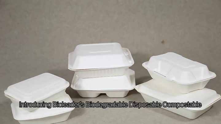 100% Biodegradable Sugarcane Bagasse Disposable Lunch Box Eco-friendly Food  Container