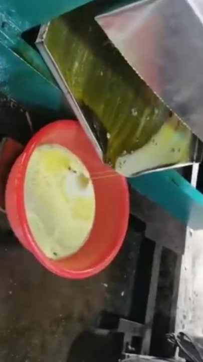 アーモンド Denon CD/SACDプレーヤー プレミアムシルバー DCD-1500SE-SP