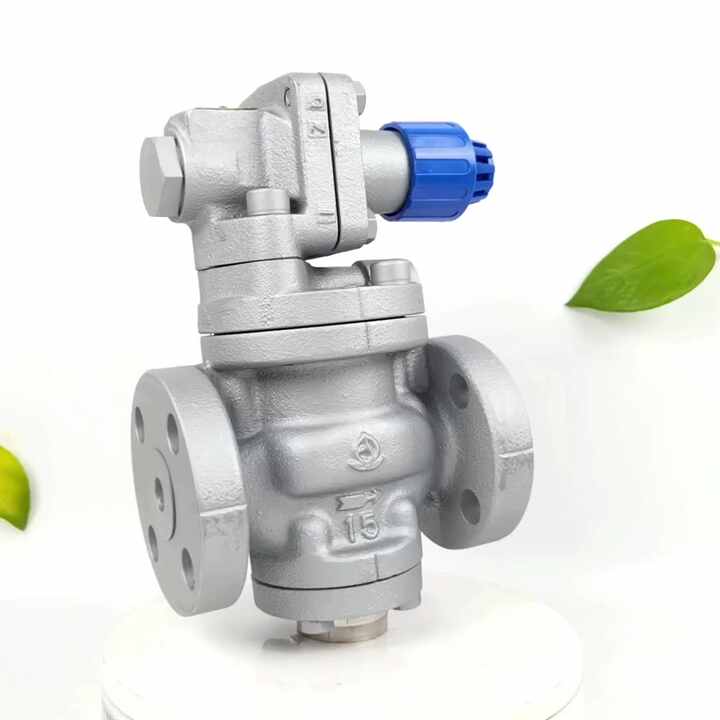 Apan VENN RP-6 Pressure Reducing Valve for Steam Control