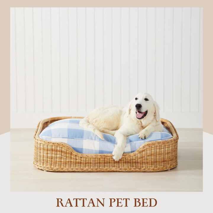 Cama redonda en forma de cueva para gatos, cueva de ratán para