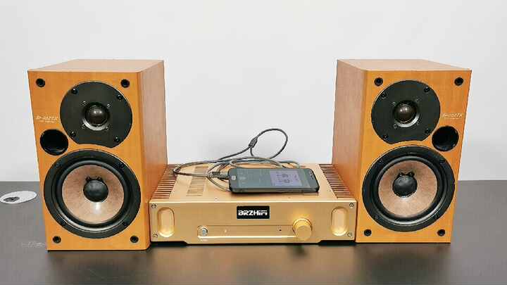 BRZHIFI AUDIO Hood 1969 クラスAパワーアンプ デュアルチャンネル