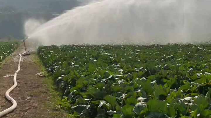 Machine D'irrigation Par Aspersion Automatique Avec Arroseur Pivot Central Pour Jardin Agricole - Chine Arrosage Automatique Par Sprinkleurs, Arrosage Par Sprinkleur Pivot Central