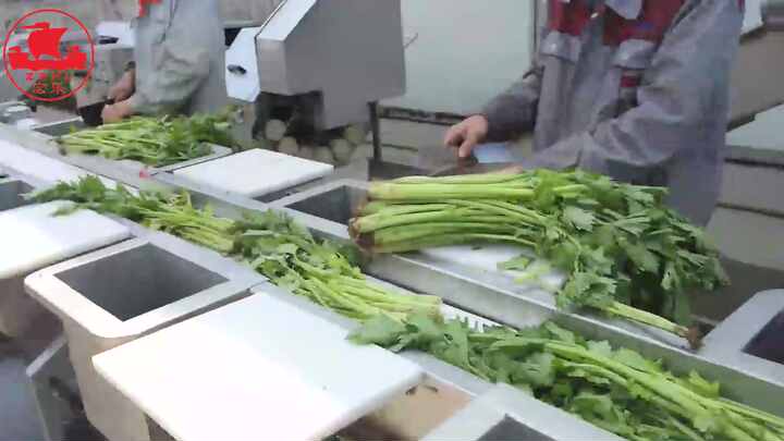 果物と野菜の洗浄生産ライン機械みじん切り野菜スライサースパイラル
