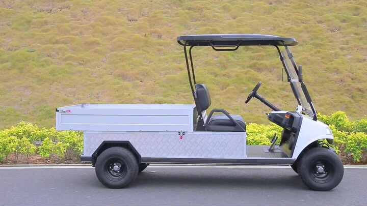 4X4 Heavy Duty Buggy Utility Vehicle for Sale with Cargo Box