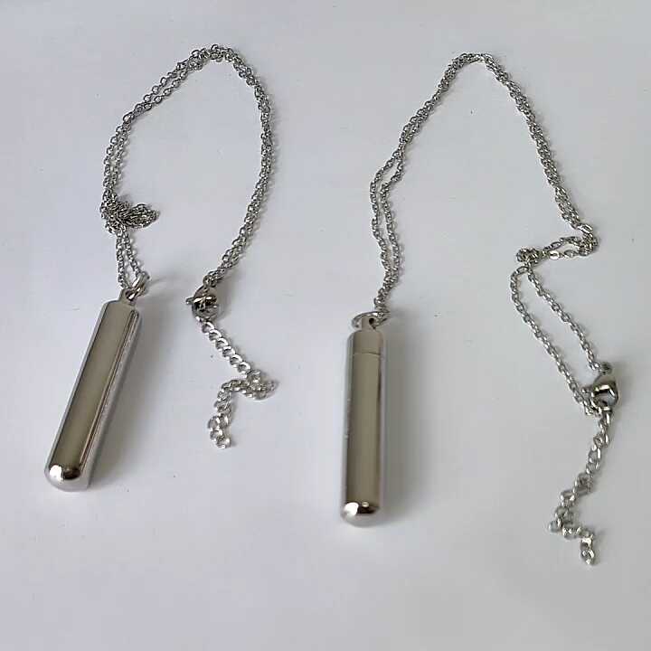 Epinki Collana Cremazione Cuore Acciaio Inox Argento per Ceneri Animali Domestici, Donna, Inverno