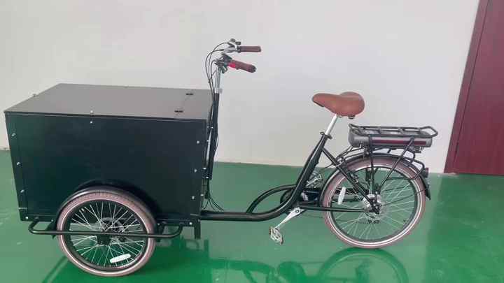 Bicycle Warehouse Trike Europe Warehouse Retro Cargo Electric