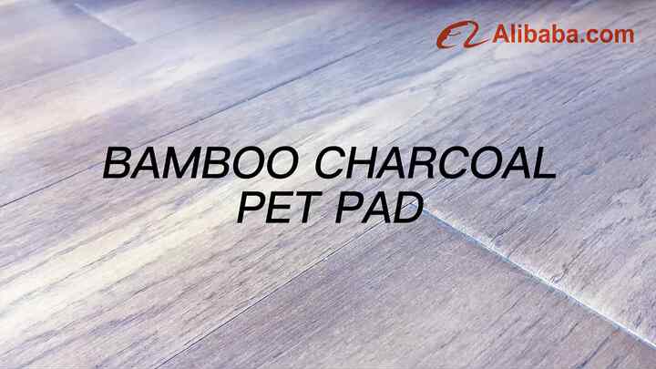 Pet Life ® 55 Grams Ultra Absorbent Charcoal Odor Eliminating Premium Dog Training Pads main image 0