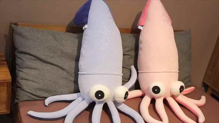 イカタコのぬいぐるみセットとアラーモ イカタコのぬいぐるみセットとアラーモ