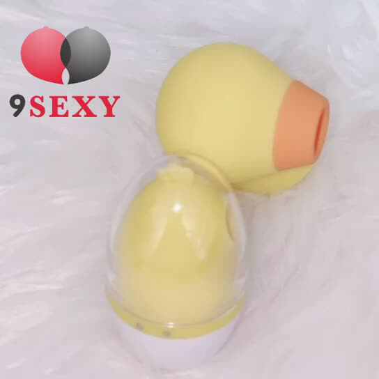 chicken sex doll 2 Sand Animals - Pig and Chicken - Sand Filled Squishy main image 0