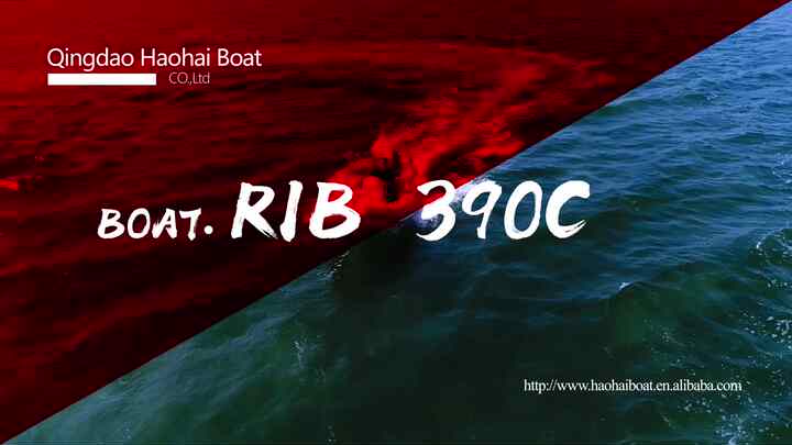Hypalon Ou PVC - Découvrez Le Small Center Console Rib 390C