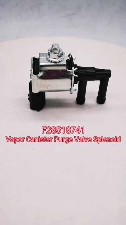 O1CN01M4jp6a1DSVtXhYBmM_!!