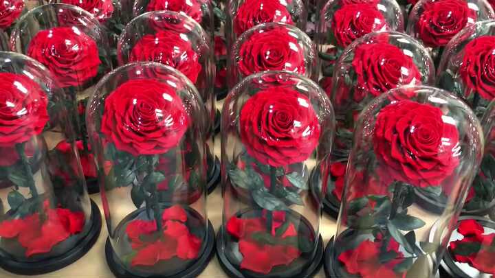 Enchanted Roses Forever Rose in Glass Box Gift Set